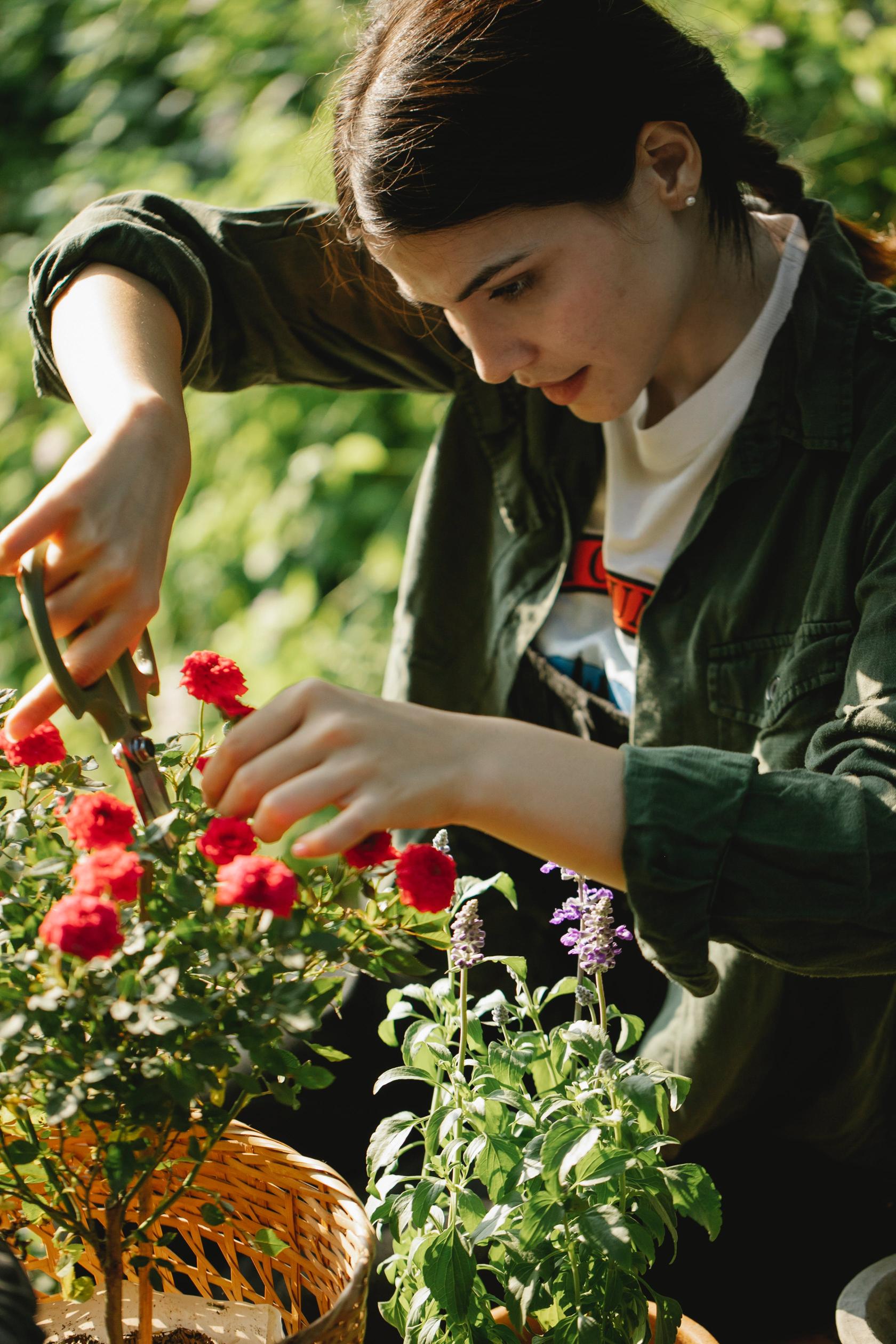 Pielęgnacja kwiatów ciętych: podlewanie, przycinanie i ochrona przed szkodnikami